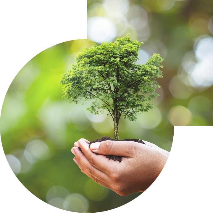 关怀人类、文化、环境与社会